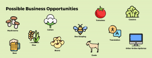 opportunities in agriculture
