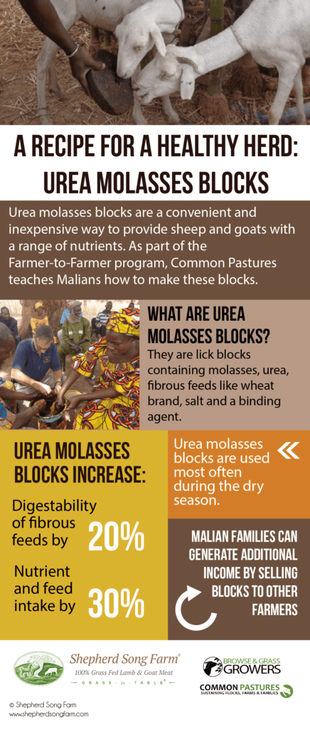 Mali molasses mineral blocks infographic