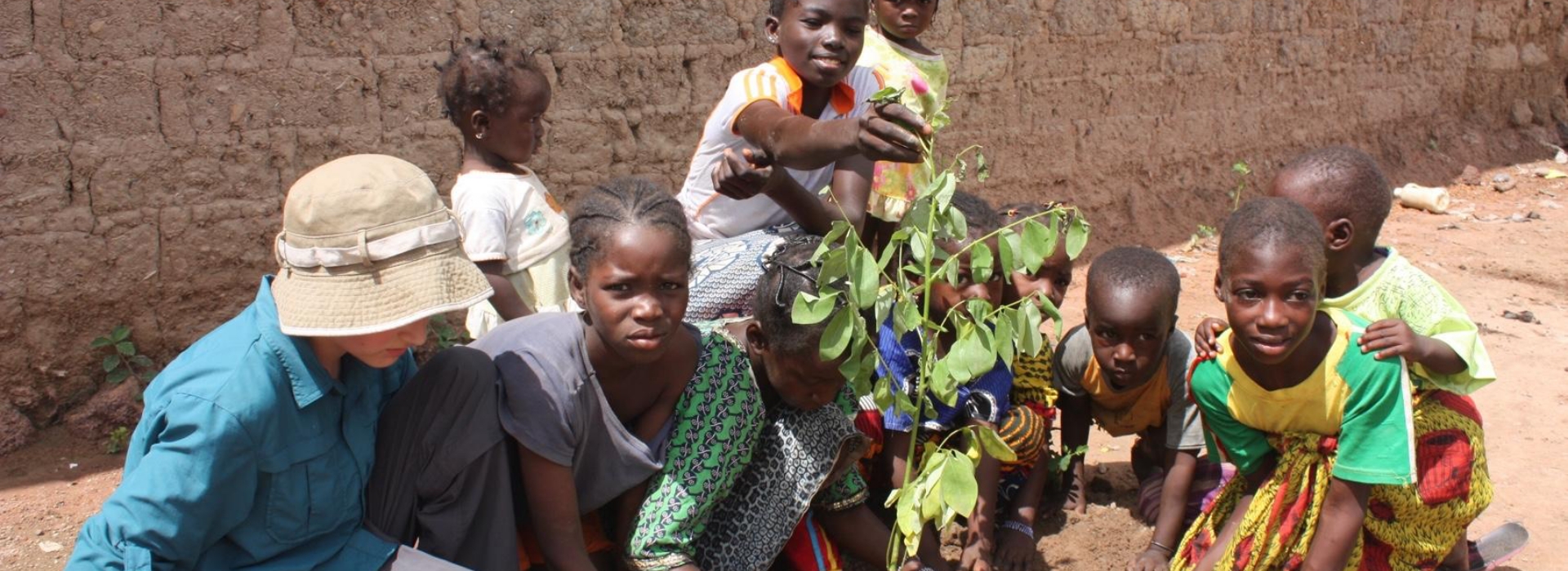 Plant a Tree - Common Pastures