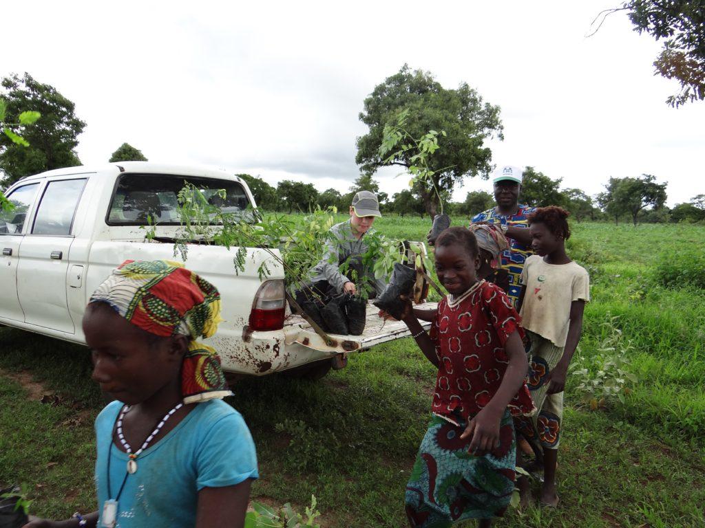 youth unload a truck with trees inside while walking in a field